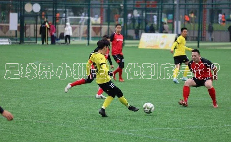 龙8-long8手机登入口百度识图