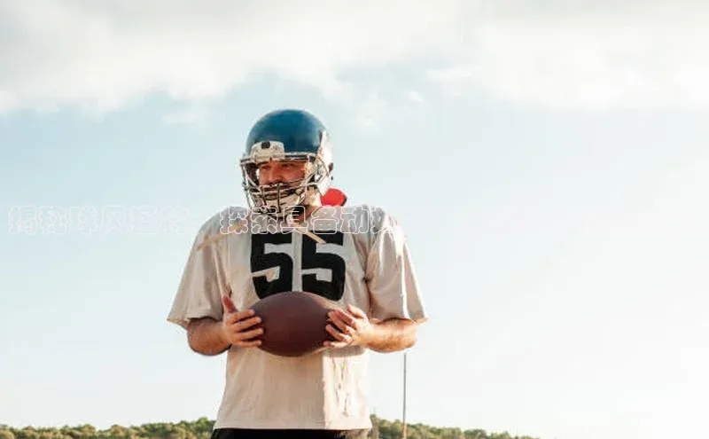 龙8网页版登录官网雷柏科技