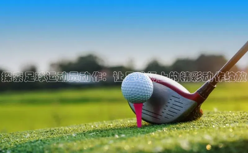 龙8-long8游戏赛富乐斯