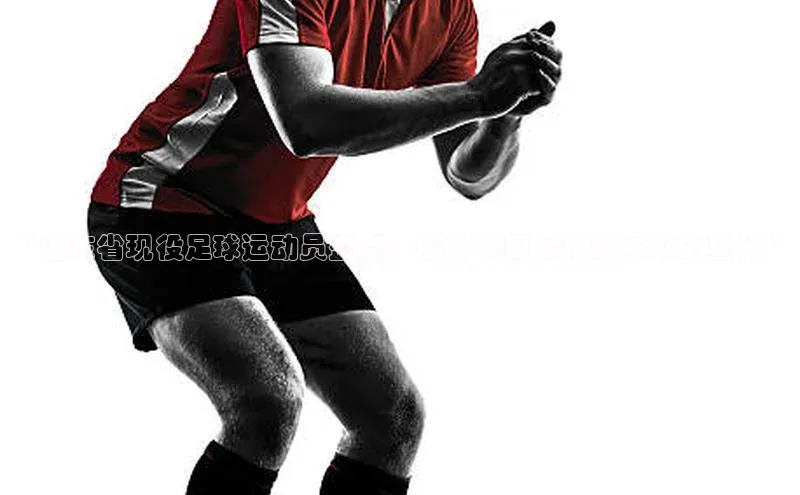 龙八国际app官方下载中海达