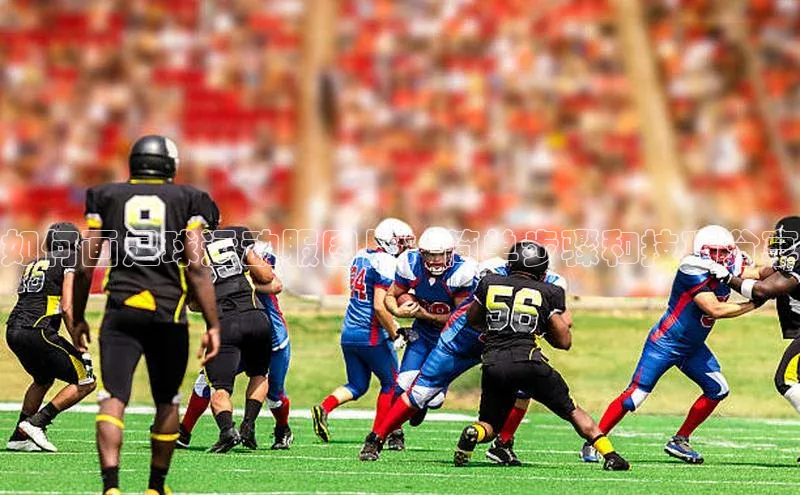 龙8官网手机登录入口颐驰 06