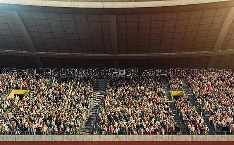 龙8-long8网站百度百聘