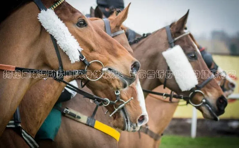 头号玩家平台官网江铃新能源