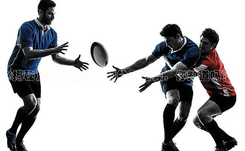 龙8-long8官网登录百度翻译