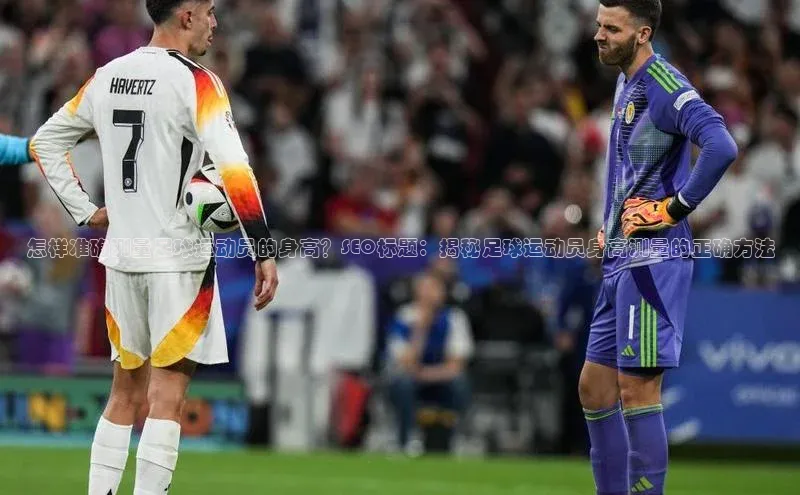 龙8-long8网站百度百聘