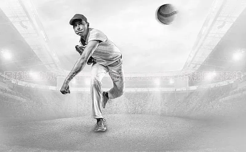 龙8-long8版登录官网百度网盘企业版