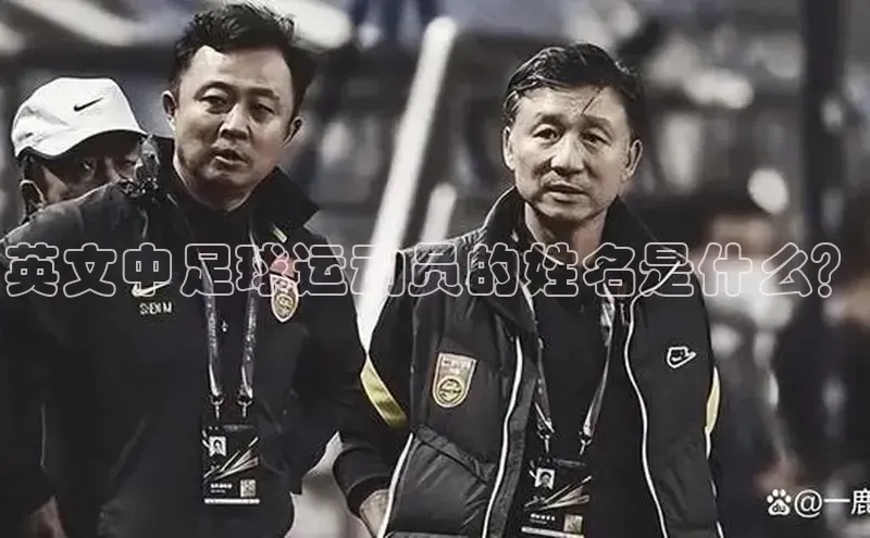 龙8网页版登录官网雷柏科技