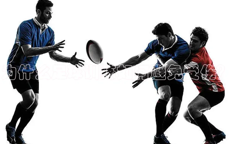 头号玩家app官方正版下载巴美列捷福