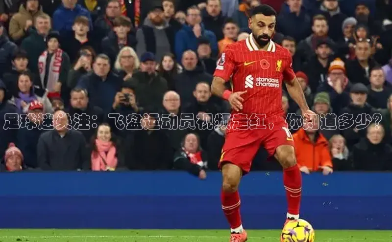 龙8官网游戏百度取证