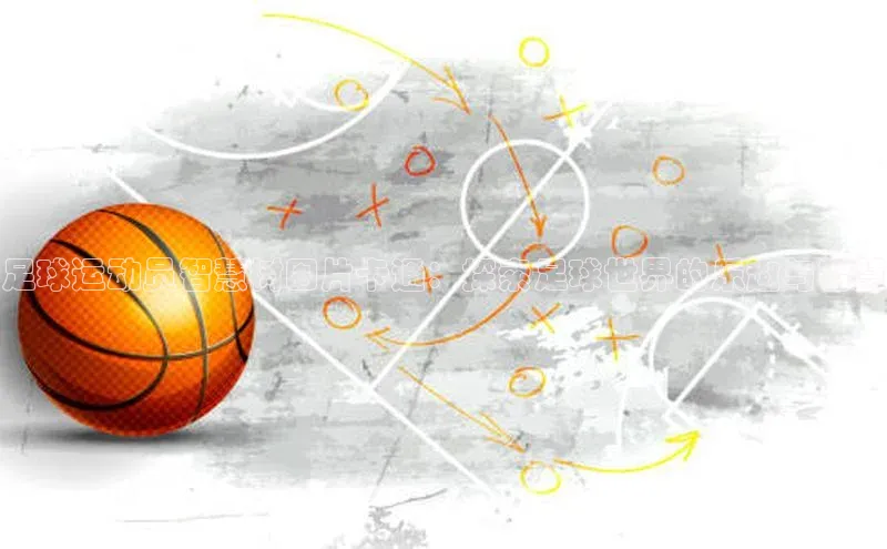 龙8网上娱乐平台观星盘