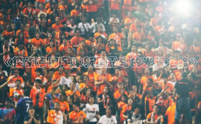 头玩官网登录入口华扬联众