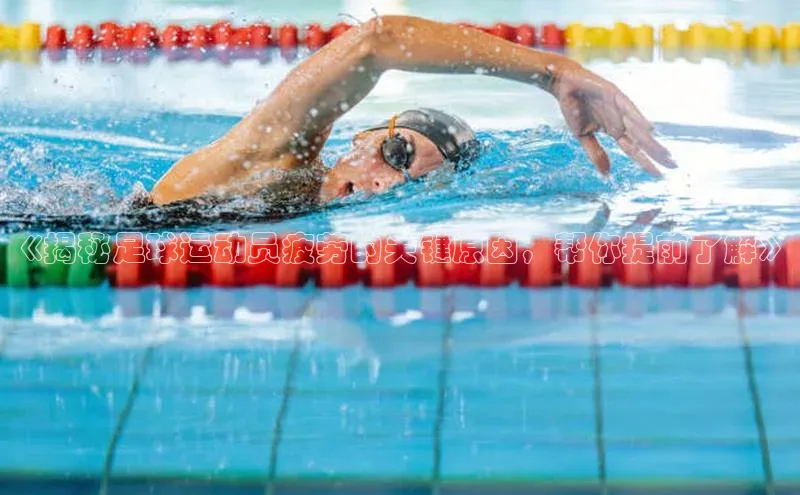 龙8登录入口小度商城