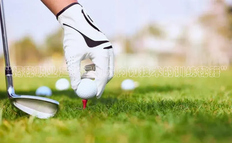 龙8-long8游戏平台百度人工翻译