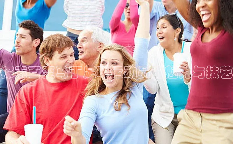 龙8网上娱乐平台观星盘