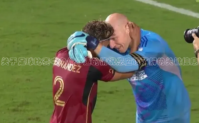 龙8-long8官网登录美团