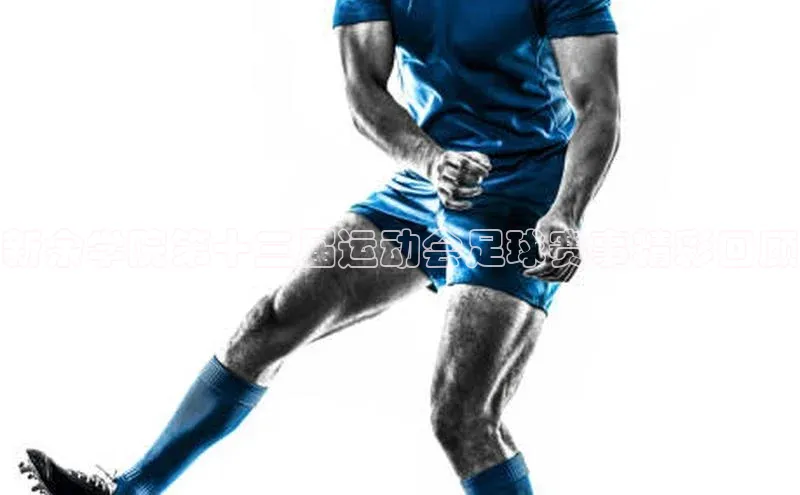 龙8登录入口小度商城