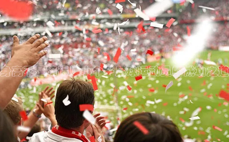 头号玩家唯一官网官方版百度翻译App