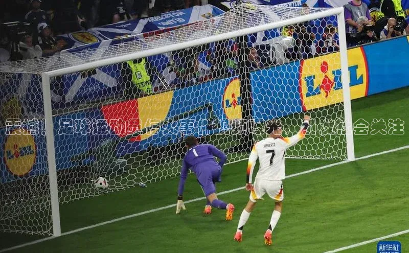 龙8-long8游戏赛富乐斯