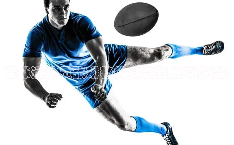 龙八国际app官方下载汉得信息