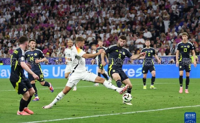 龙8-long8官网登录百度翻译