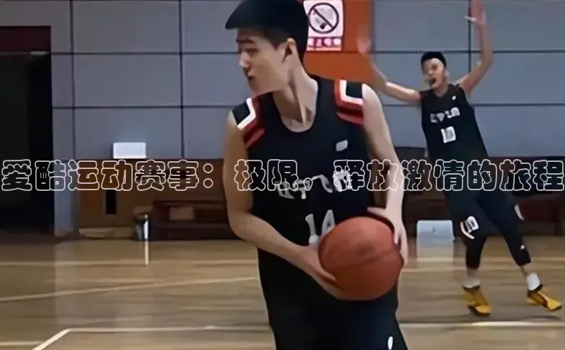 头号玩家唯一官网官方版百度翻译App