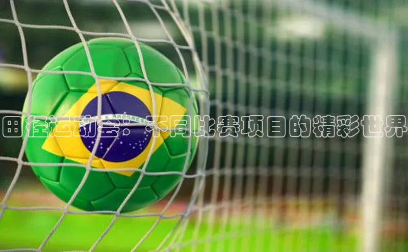 龙8官网 long8 bet