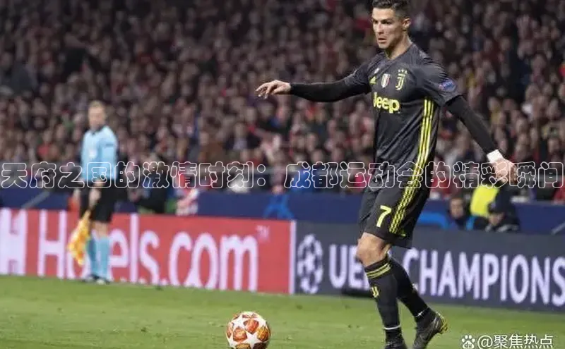 龙八国际app官方下载