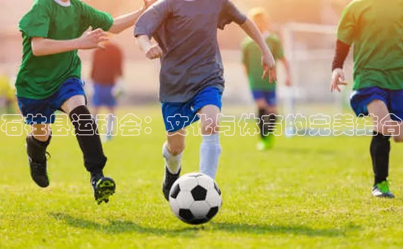 龙八国际唯一官方网站