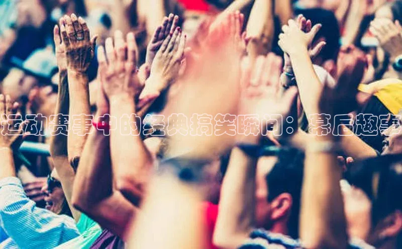 龙八国际下载链接