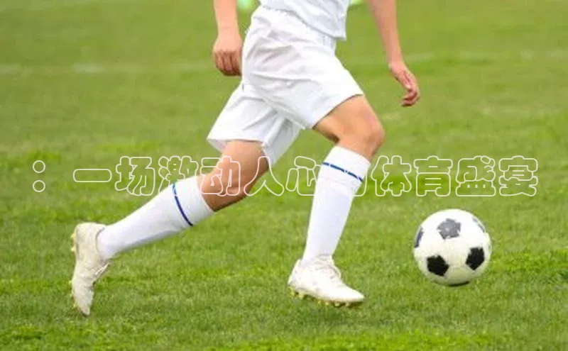 龙8网页版登录官网