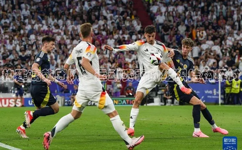 头号玩家网站官方网站下载