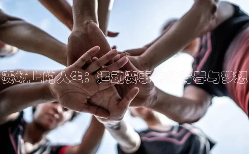 龙8线上官网
